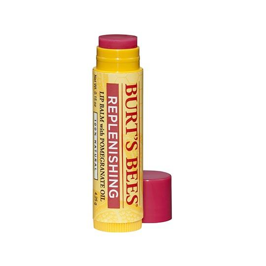 Burt's Bees Lip Balm | dry lips | chapped lips 