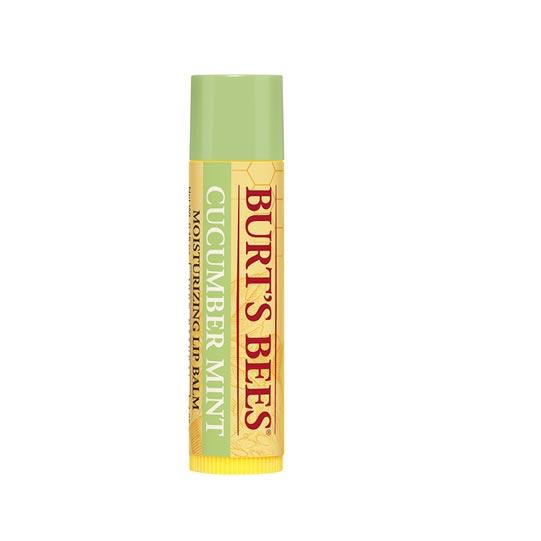 Burt's Bees Lip Balm | dry lips | chapped lips 